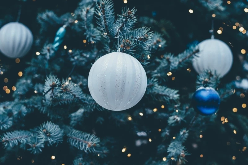 Powiat Wodzisławski życzy zdrowych i radosnych Świąt Bożego Narodzenia